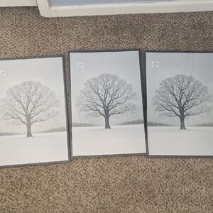 Elegant Black and White Tree Art Prints